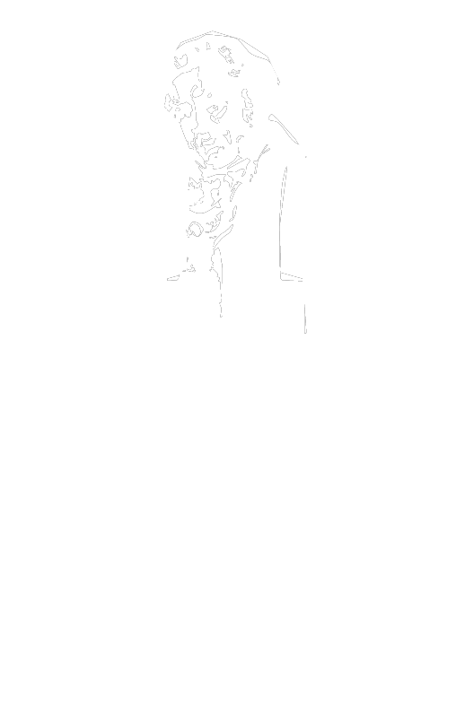 35 Ganadores Goya corto animación